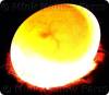 4-days incubation